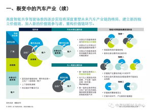 中国汽车行业风险分析报告 汽车产业迎挑战 防风险指南